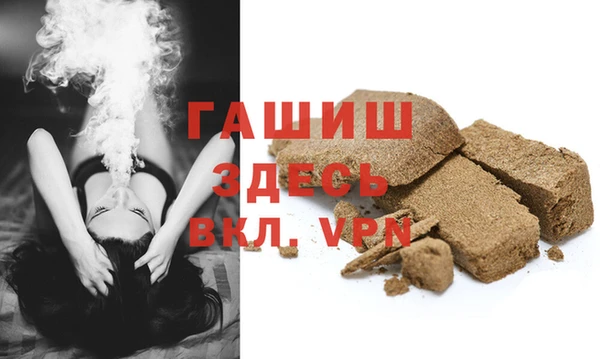 индика Осинники