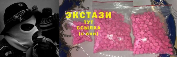 индика Осинники