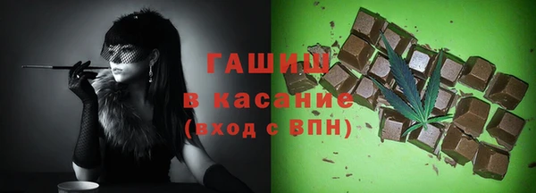эйфоретик Няндома