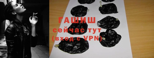 эйфоретик Няндома