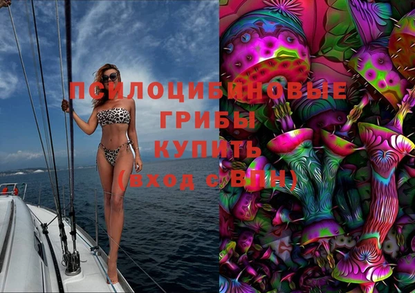эйфоретик Няндома