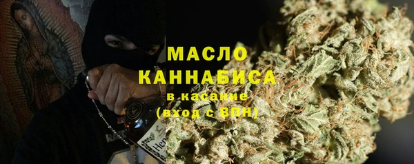 эйфоретик Няндома