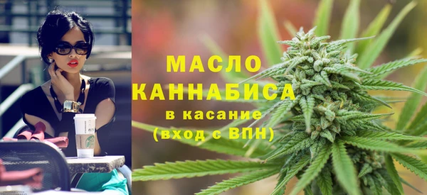эйфоретик Няндома