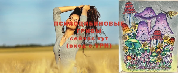 хмурый Нягань